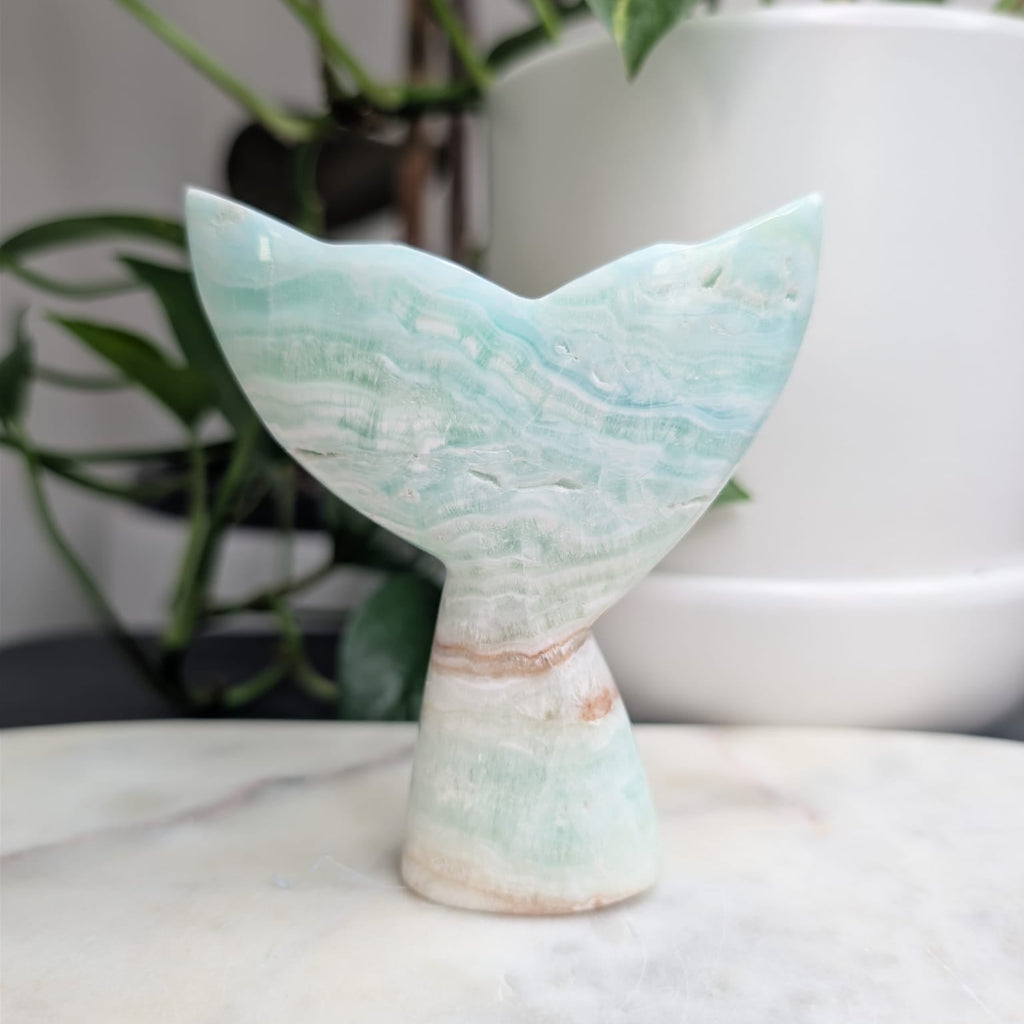 Caribbean Calcite Whale Tail