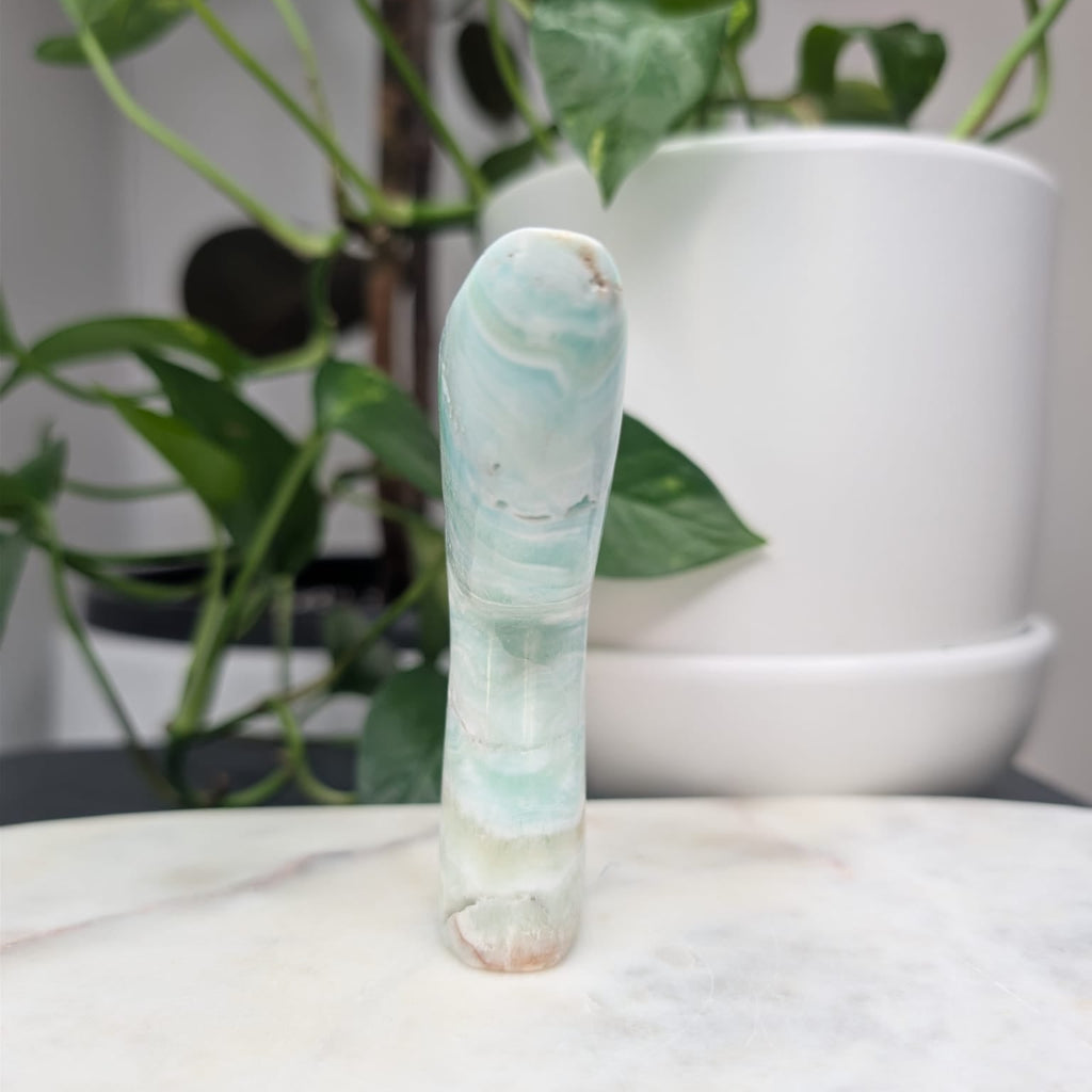 Caribbean Calcite Whale Tail
