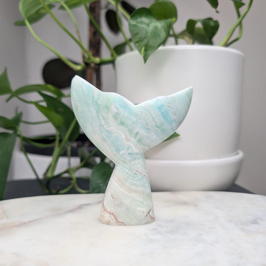 Caribbean Calcite Whale Tail