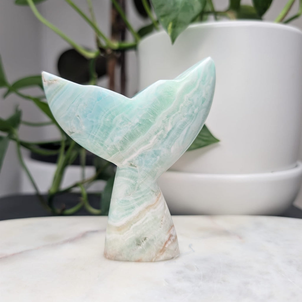 Caribbean Calcite Whale Tail