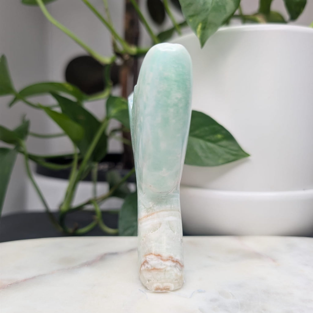 Caribbean Calcite Whale Tail