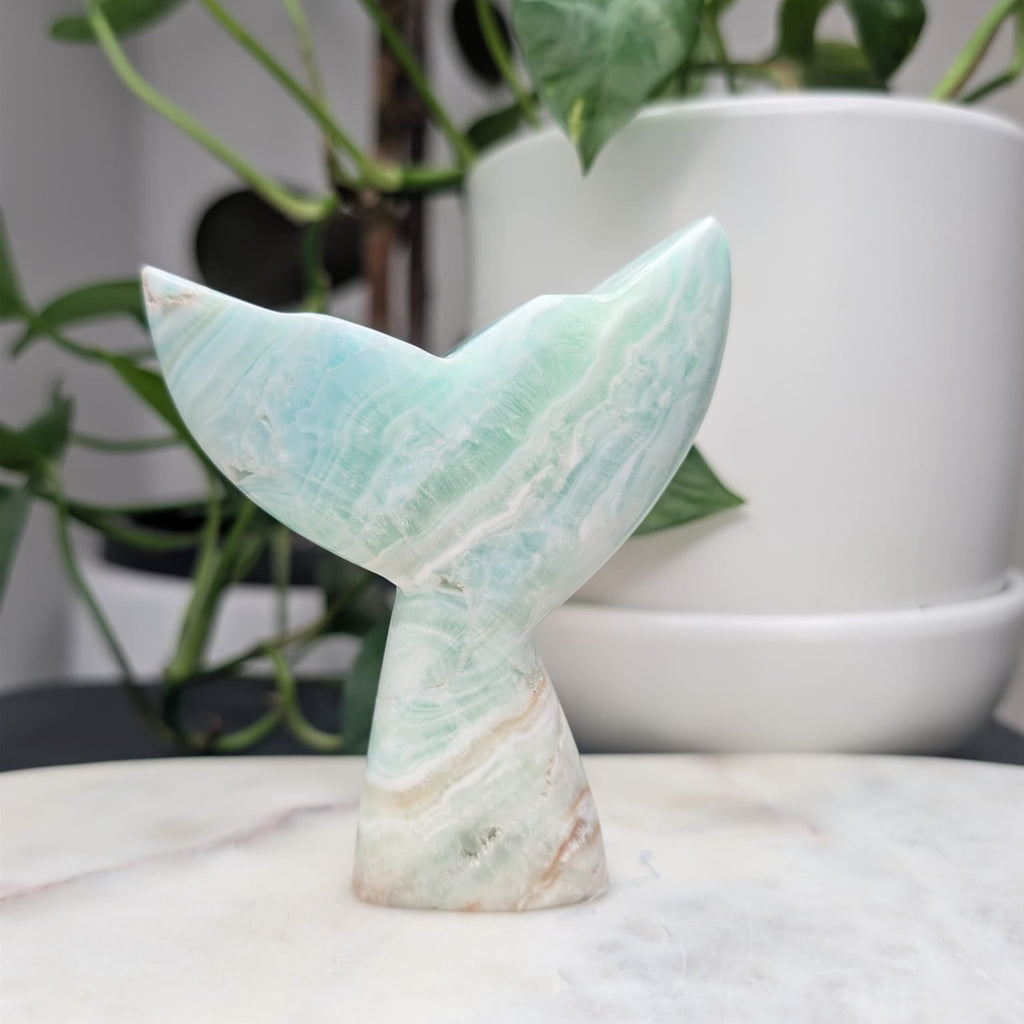 Caribbean Calcite Whale Tail