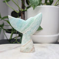 Caribbean Calcite Whale Tail