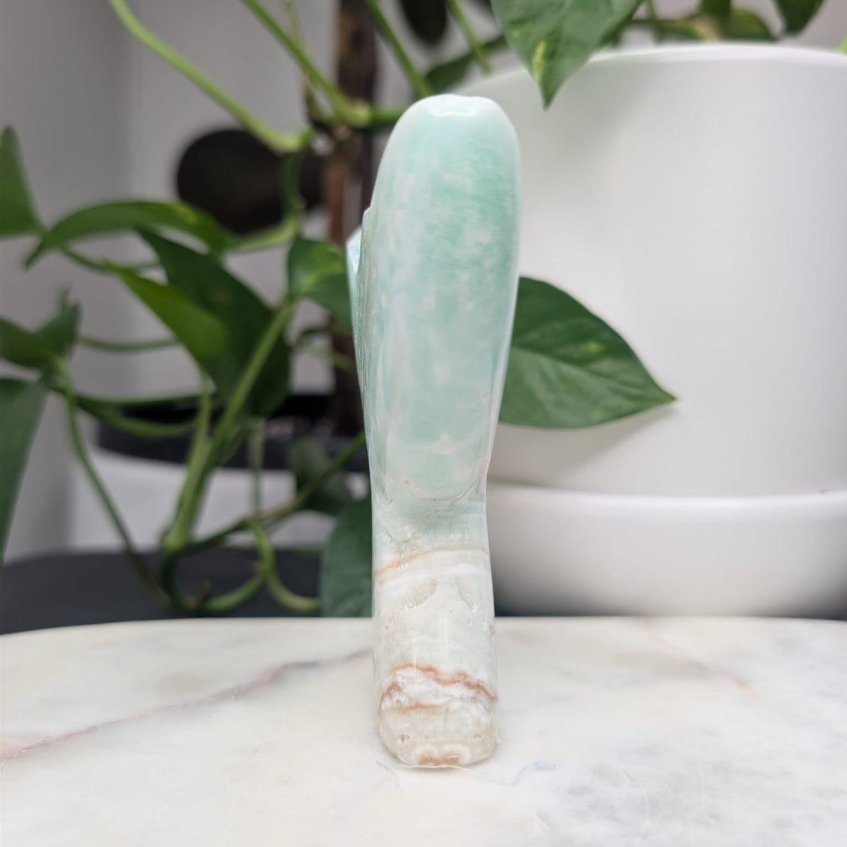 Caribbean Calcite Whale Tail
