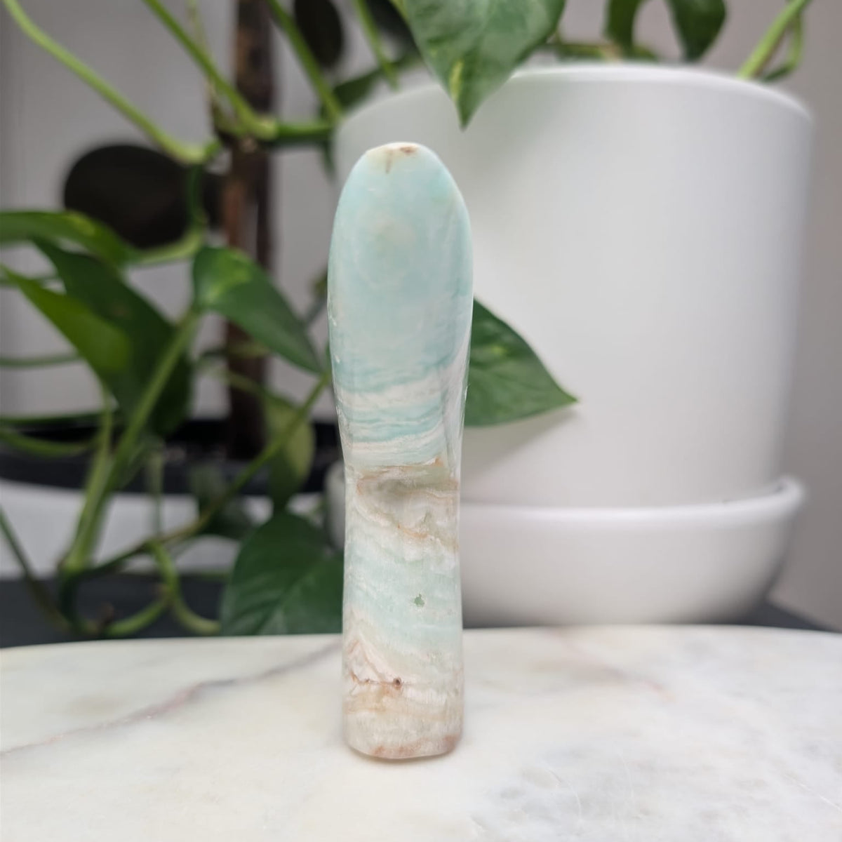 Caribbean Calcite Whale Tail