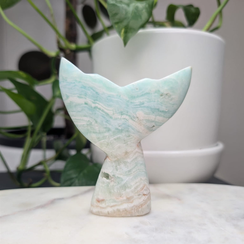 Caribbean Calcite Whale Tail