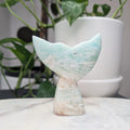 Caribbean Calcite Whale Tail
