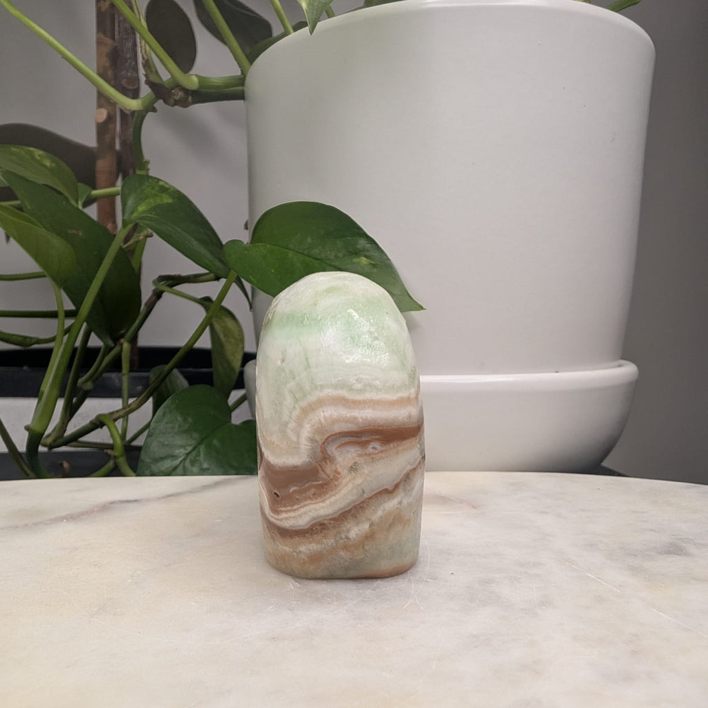 Caribbean Calcite Bear
