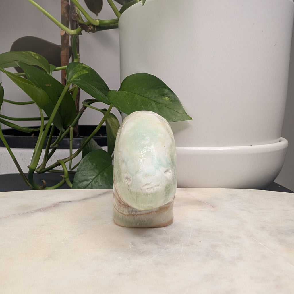 Caribbean Calcite Bear