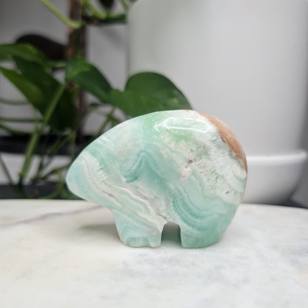 Caribbean Calcite Bear