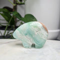 Caribbean Calcite Bear