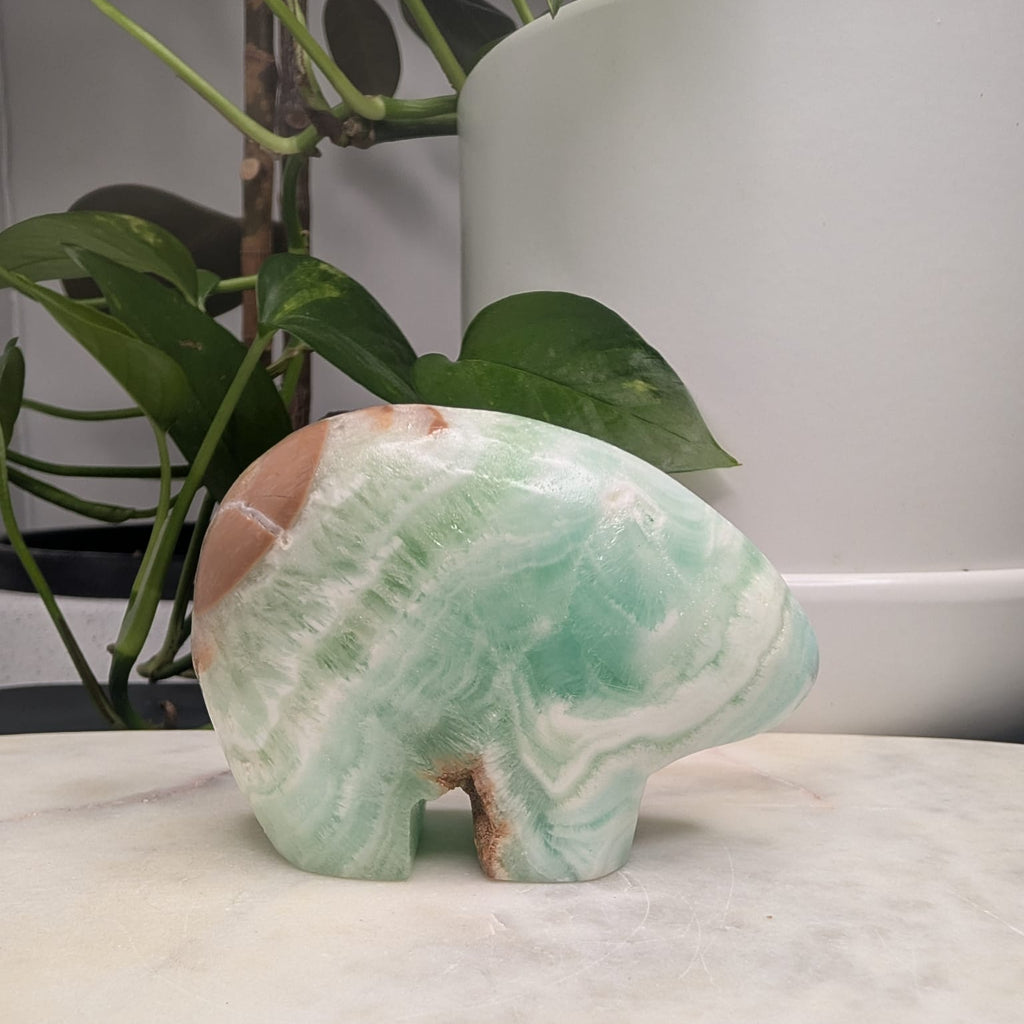 Caribbean Calcite Bear