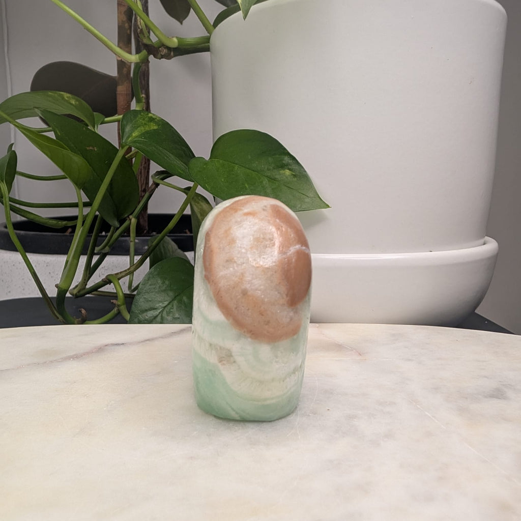 Caribbean Calcite Bear
