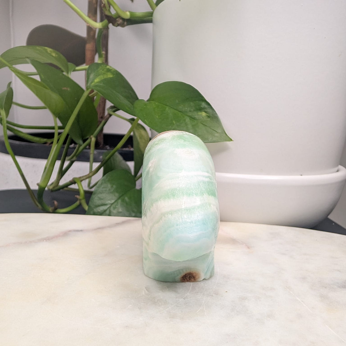 Caribbean Calcite Bear