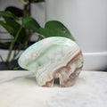 Caribbean Calcite Bear
