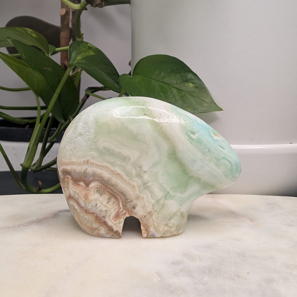 Caribbean Calcite Bear