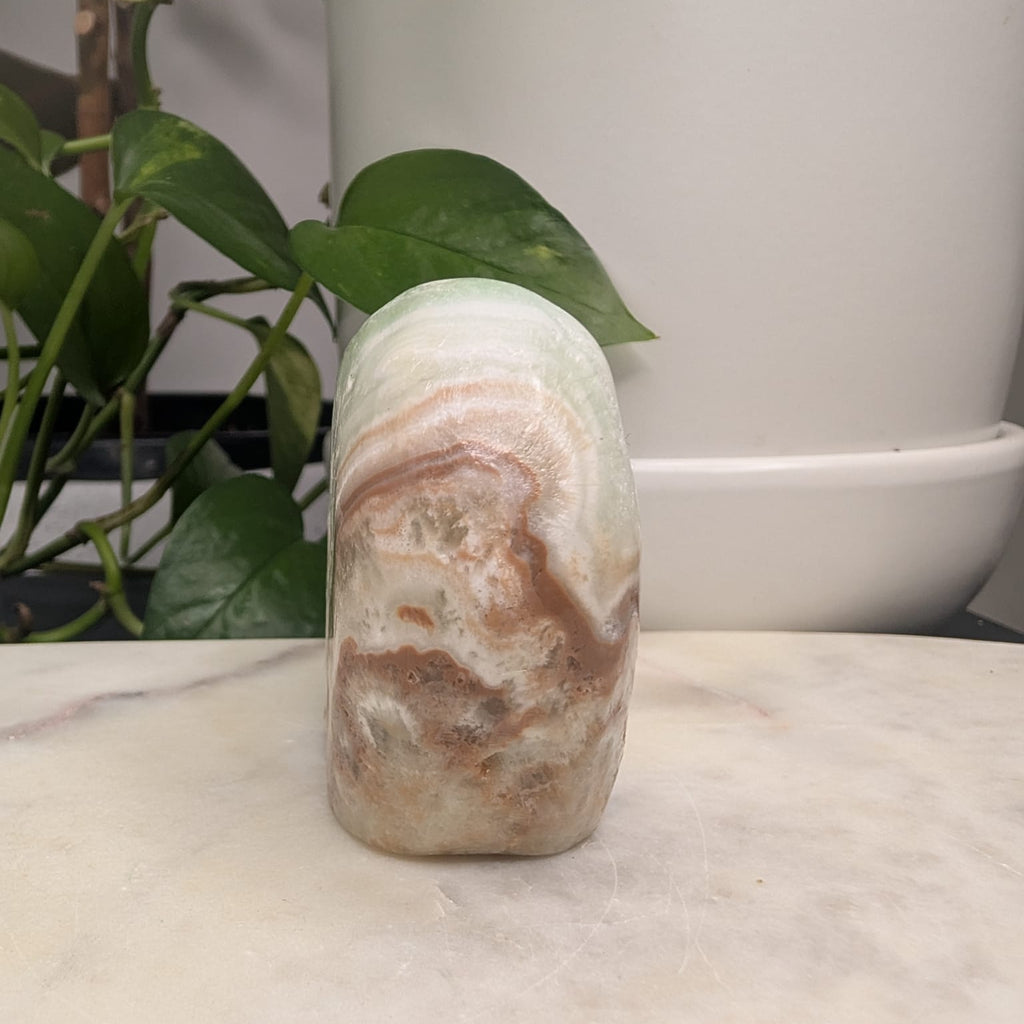 Caribbean Calcite Bear