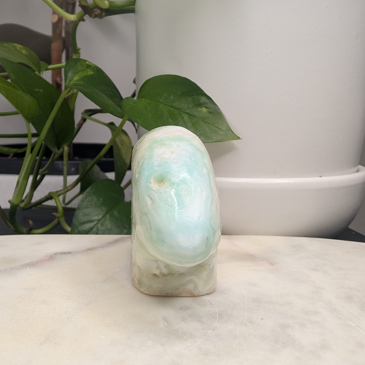Caribbean Calcite Bear