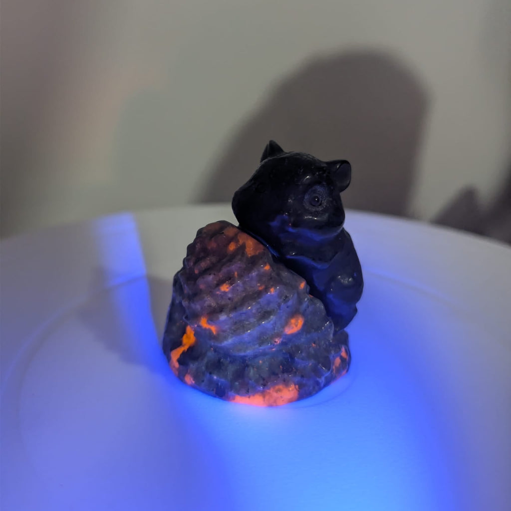 Obsidian Chipmunk on Yooperlite