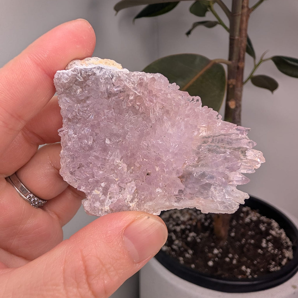 Raw Zeolite
