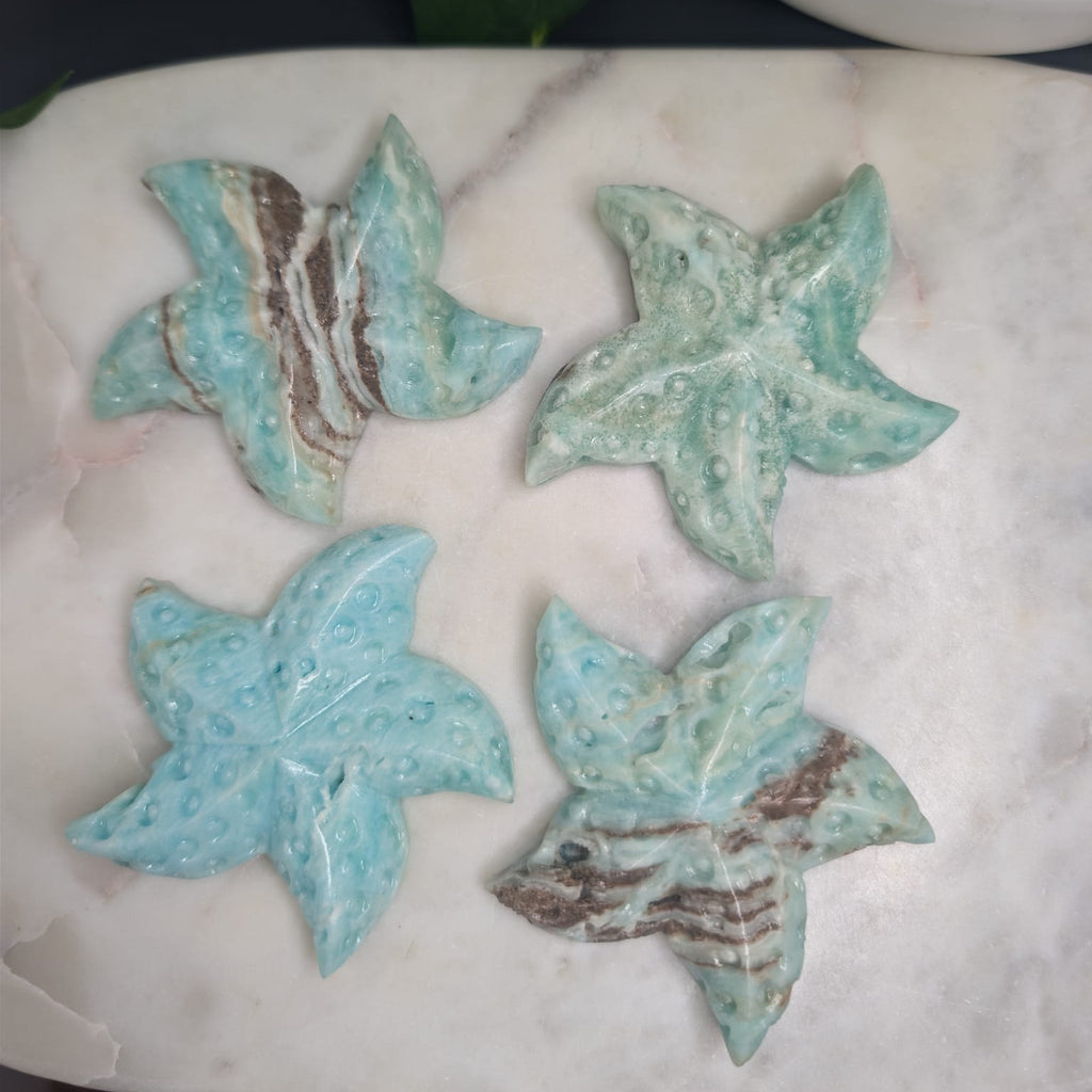 Blue Aragonite Starfish