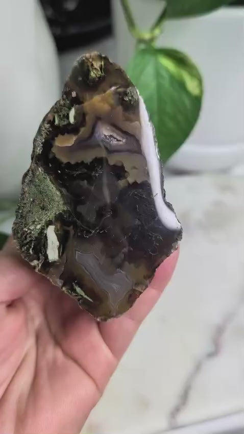 Timor Agate Freeform