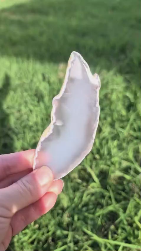Agate slice