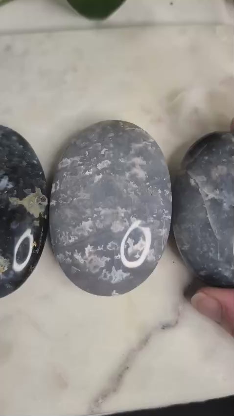 Blue Plume Agate Palmstone