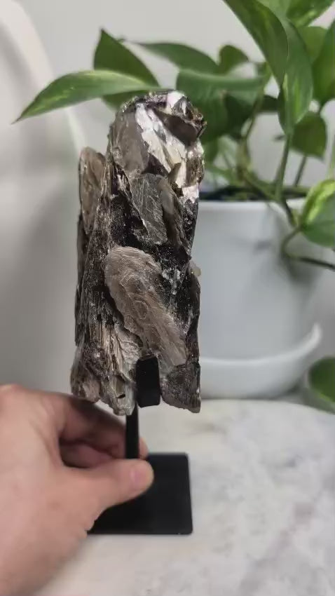 Golden Mica with Tourmaline on stand