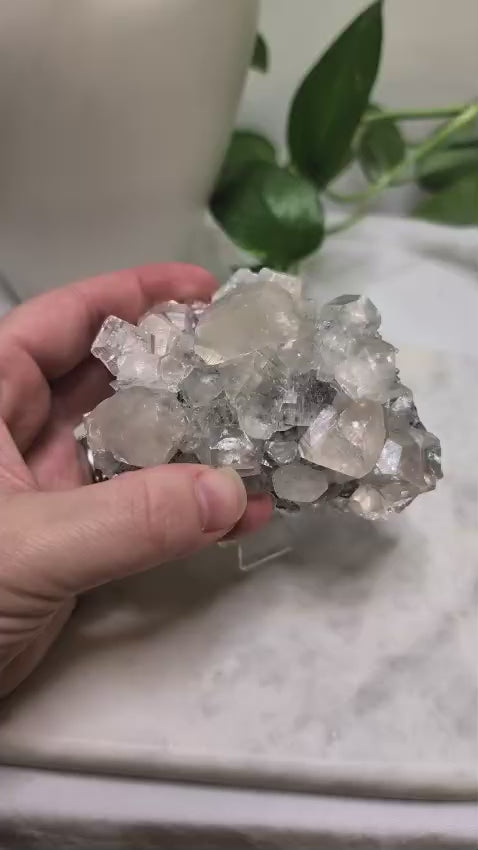 Apophyllite Cluster