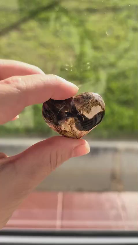 Petrified Wood Mini Hearts