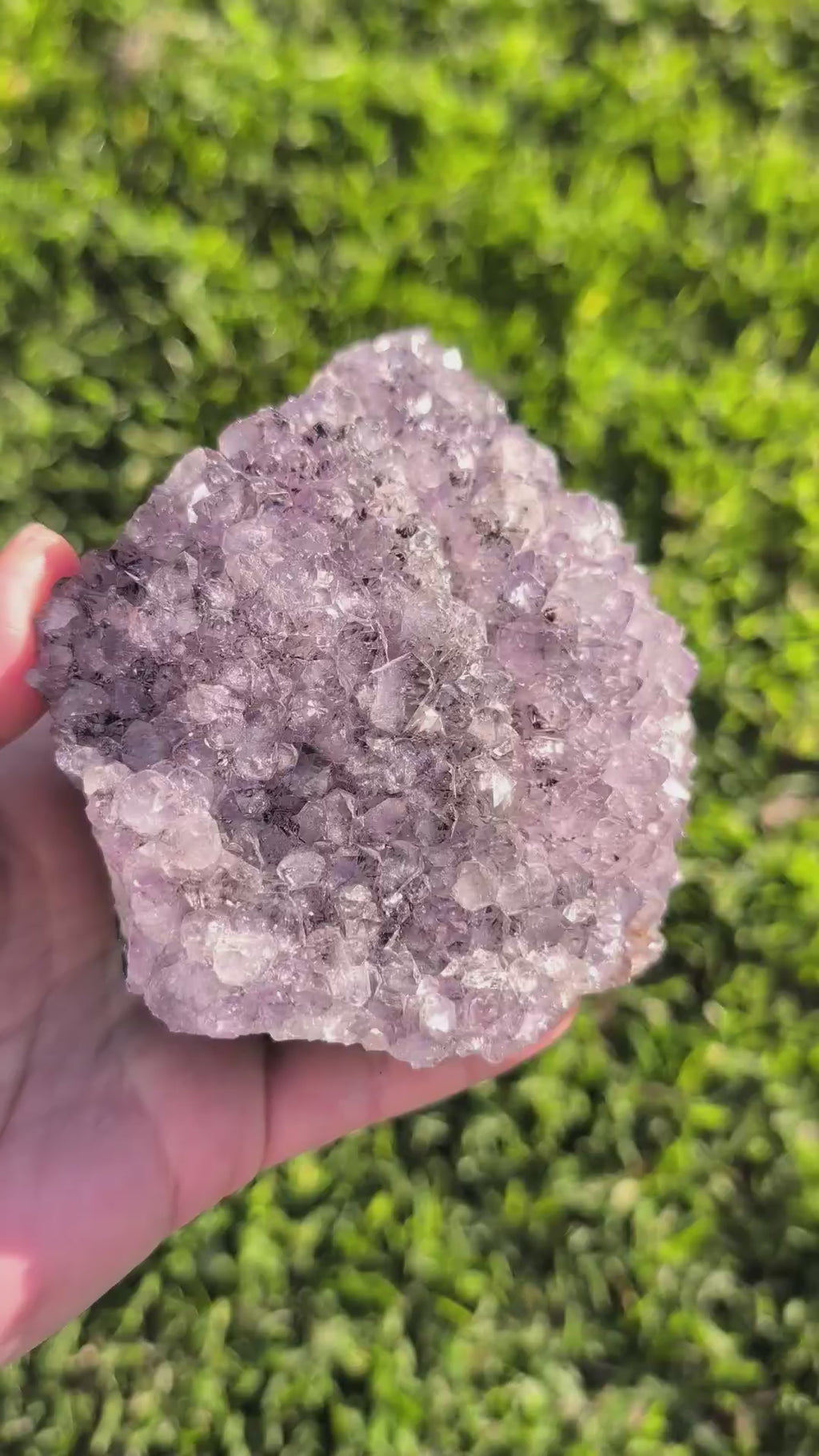Amethyst Druzy Cluster