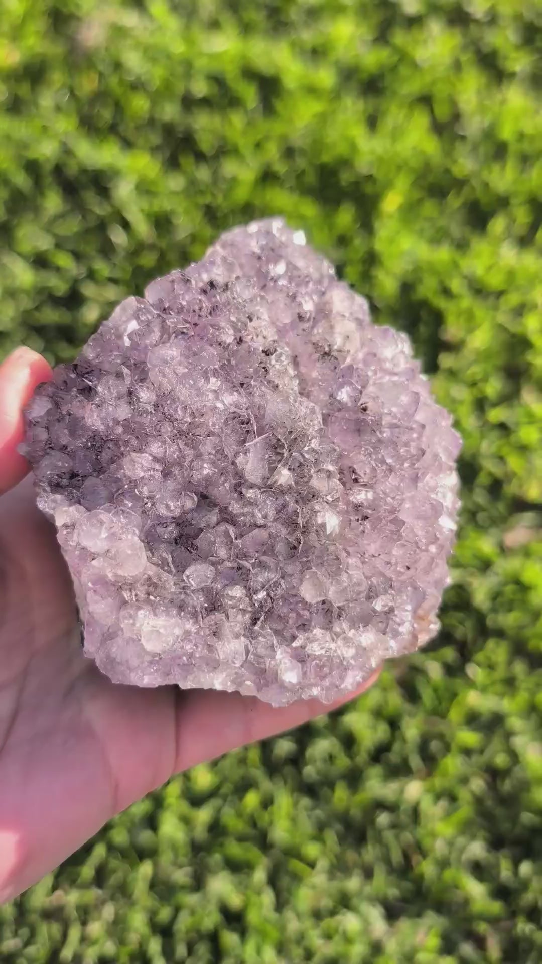 Amethyst Druzy Cluster