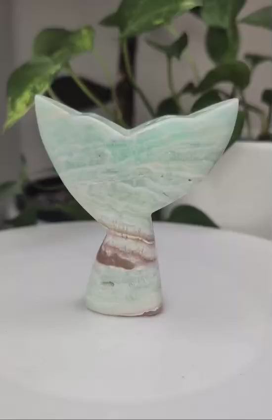 Caribbean Calcite Whale Tail