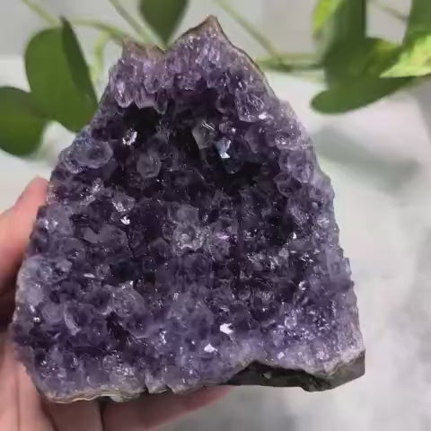 Amethyst Cluster