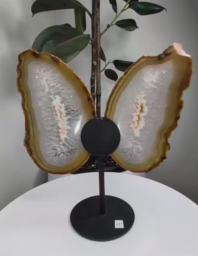 Agate Butterfly on stand