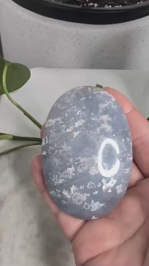 Blue Plume Agate Palmstone