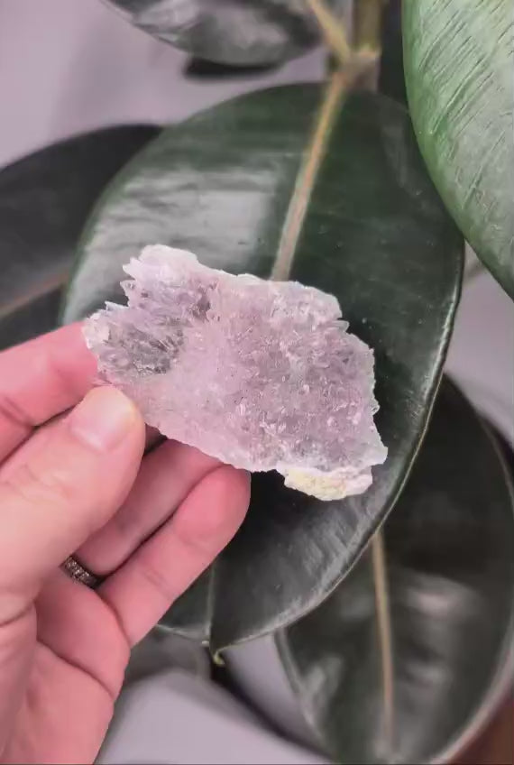 Raw Zeolite