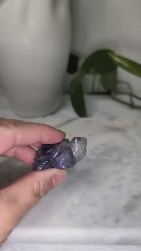 Amethyst Turtle