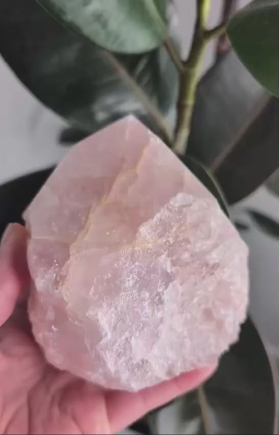 Semi-Polished Rose Quartz Freeform