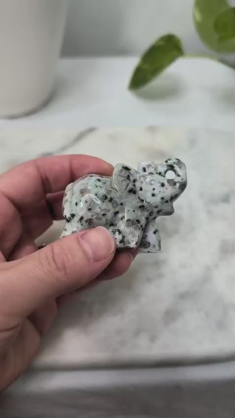 Kiwi Jasper Elephant