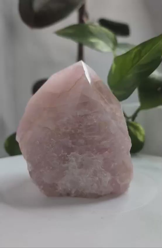 Semi-Polished Rose Quartz Freeform