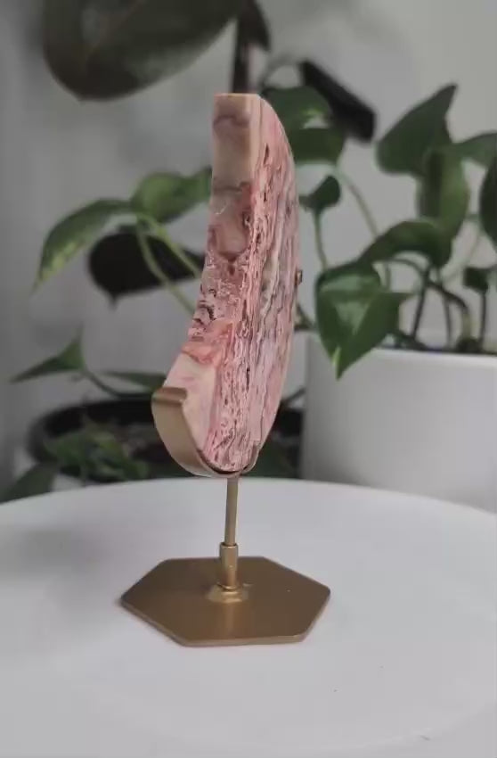 Crazy Lace Agate Crescent Moon on Stand
