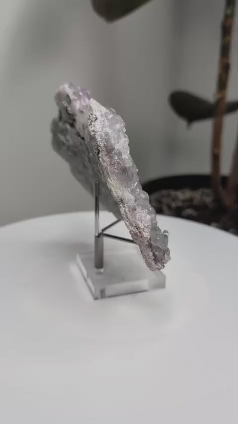 Lilac Zeolite on stand
